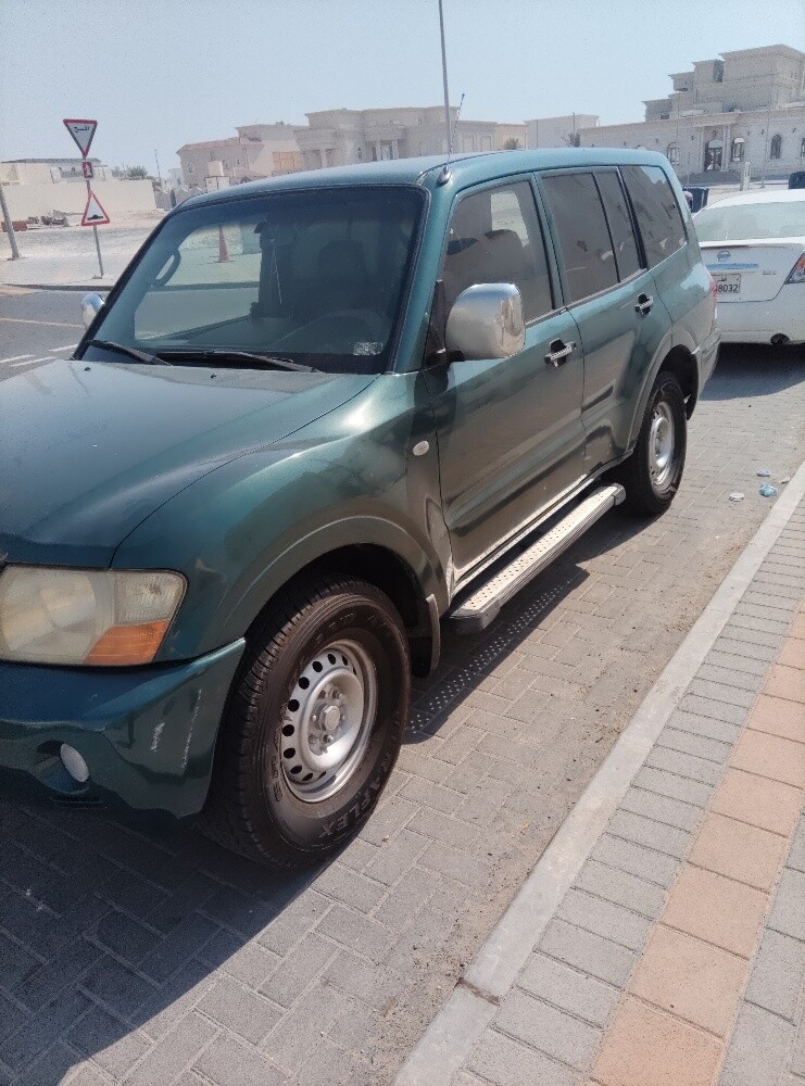 بجير  2006 - 2