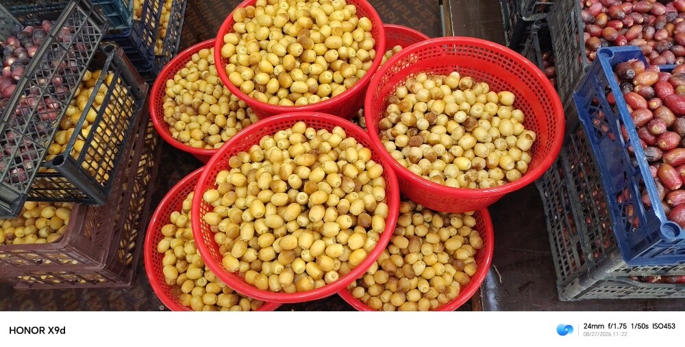 Dates & Ratab - 6