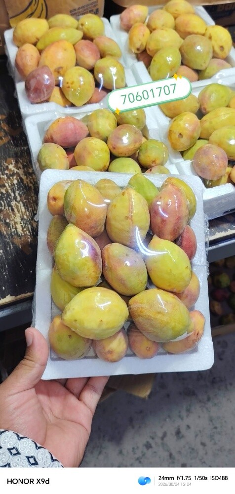 Dates & Ratab - 3