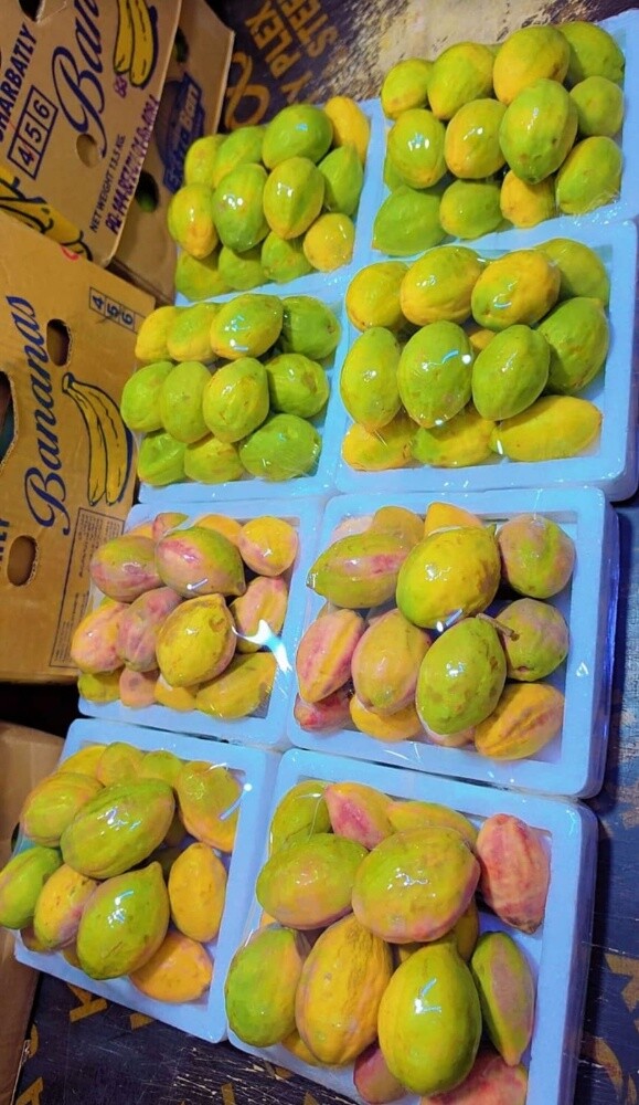 Dates & Ratab - 1