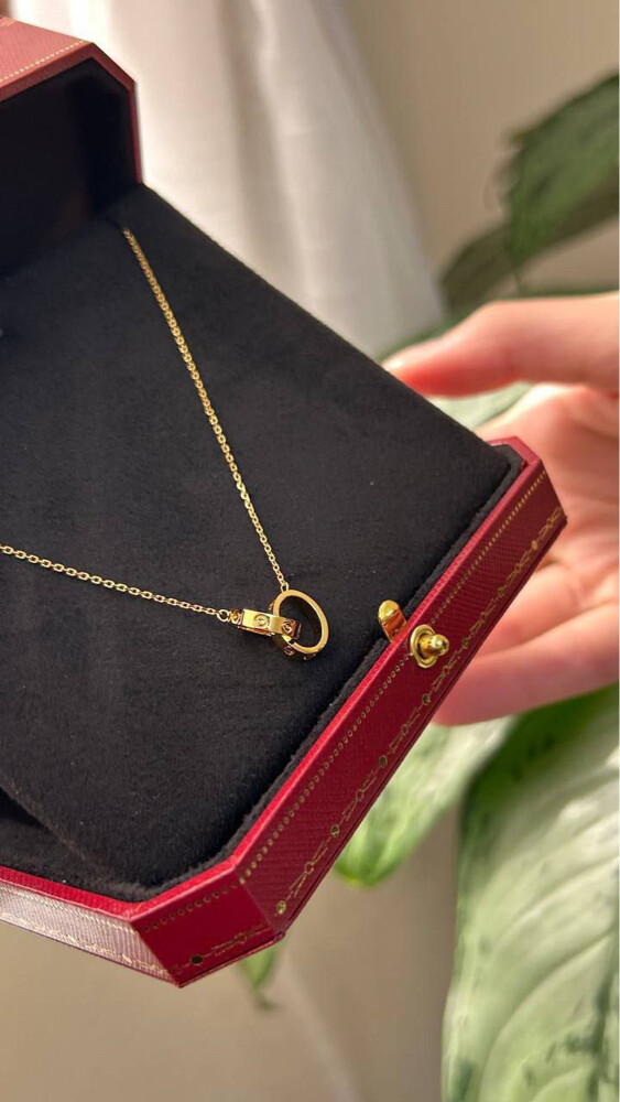 Cartier Love Necklace - 3