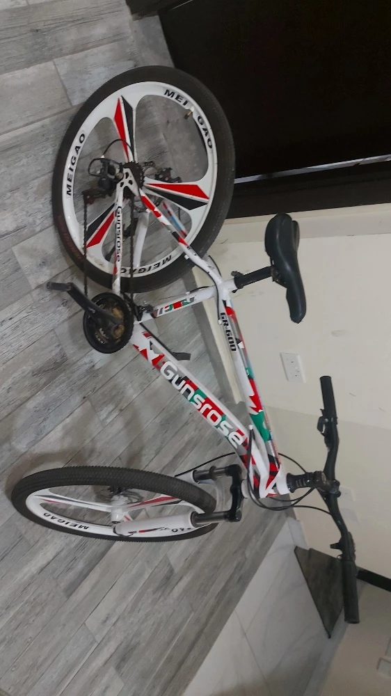 bike - 1