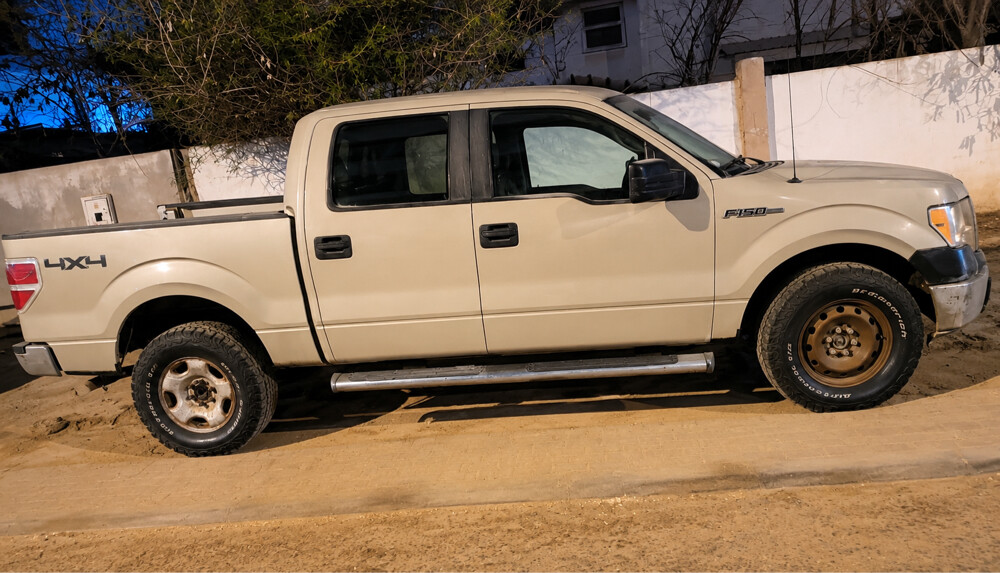 Ford150 - 1