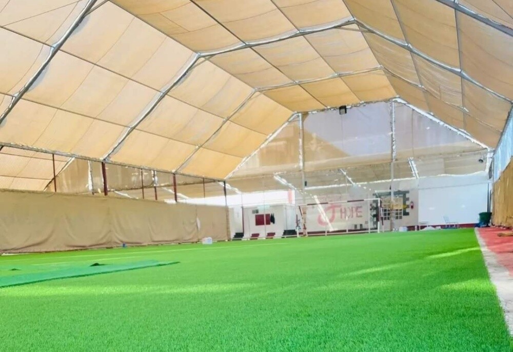 Artificial grass, grass carpet - 11