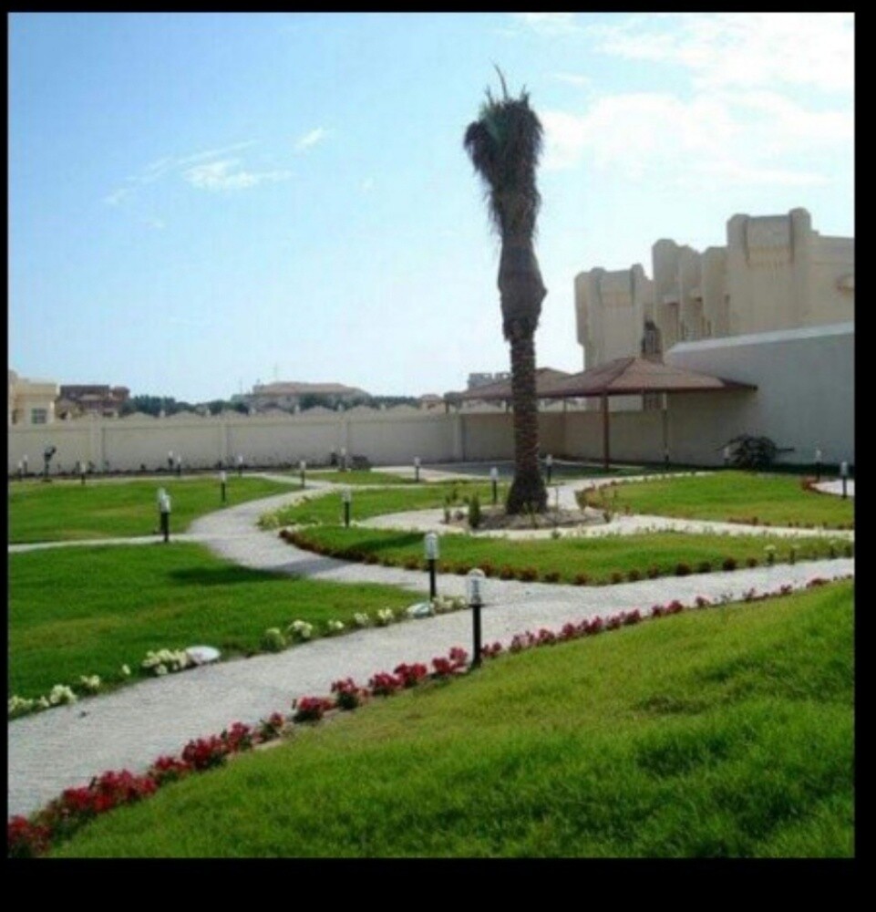 نخيل الاخلاص - 3
