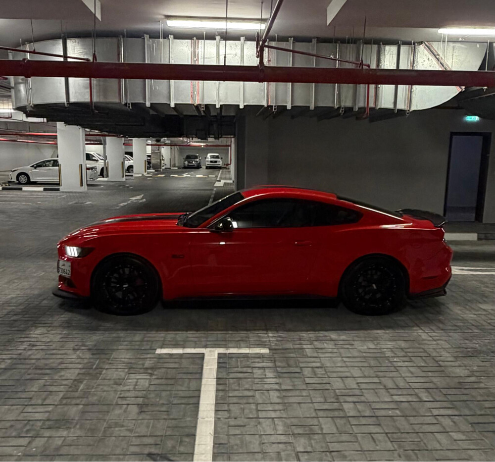 ford mustang - 1