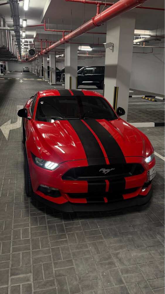 ford mustang - 10