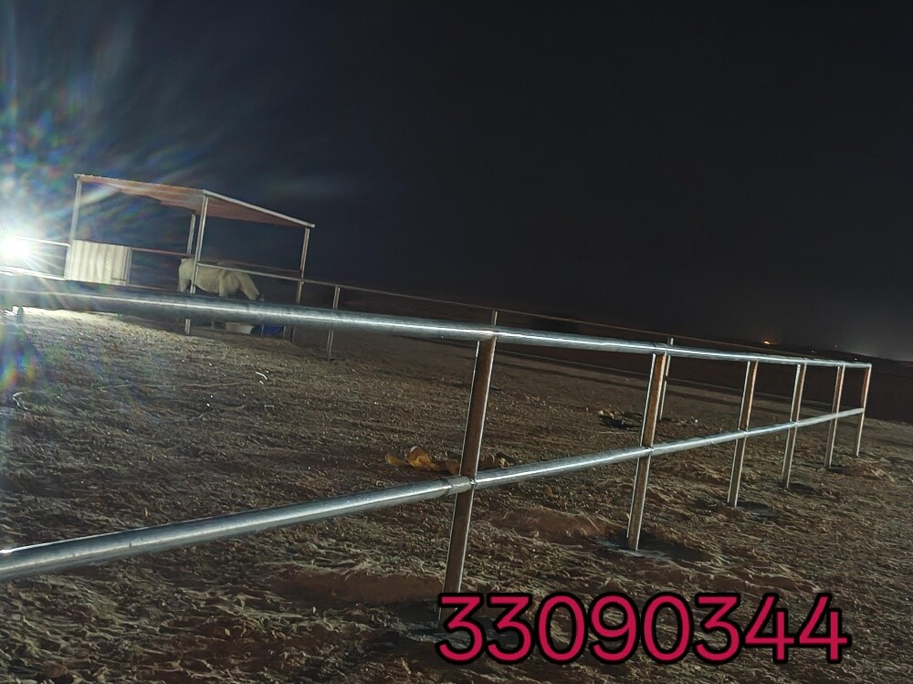 حزينه مال خيل مال جمال - 1