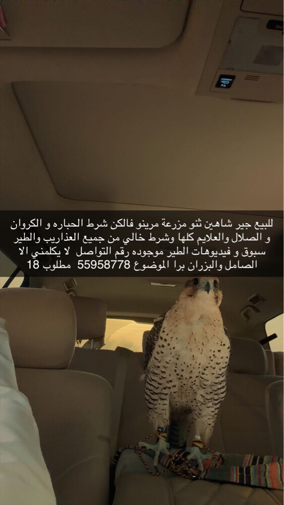 للبيع - 1