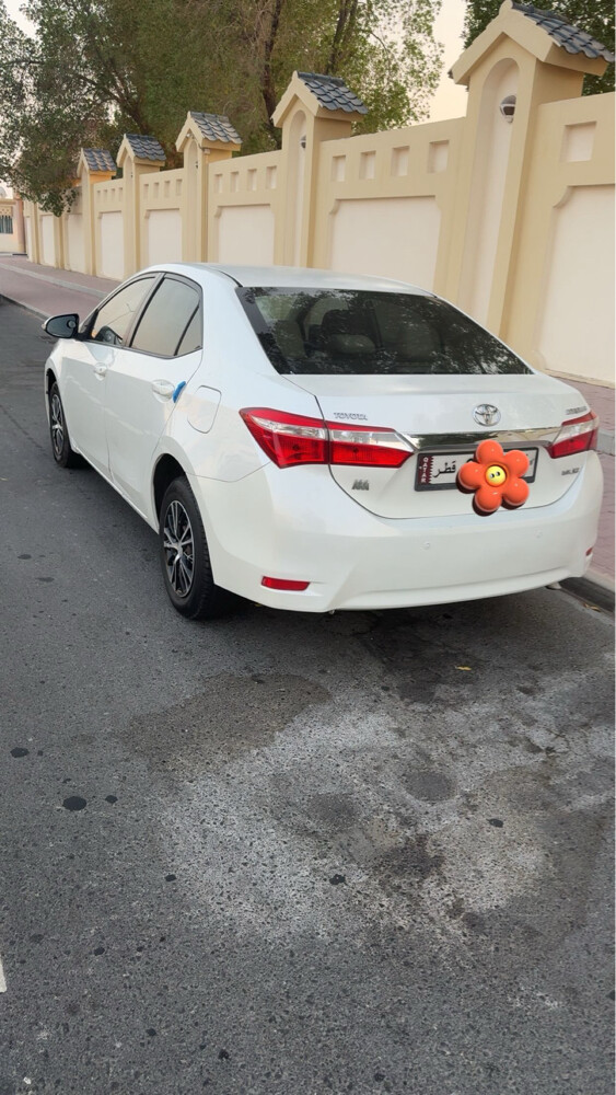 كورلا 2015 - 4