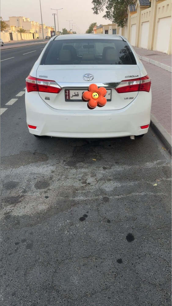كورلا 2015 - 3