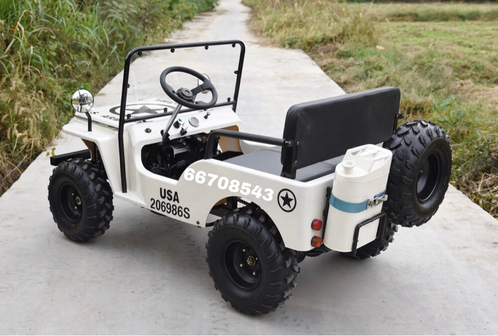 Mini jeep 150 cc - 3