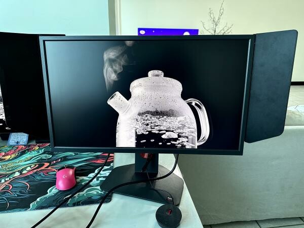 BenQ ZOWIE XL2566K 360Hz Monitor - 1