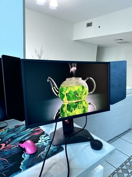 BenQ ZOWIE XL2566K 360Hz Monitor - 2