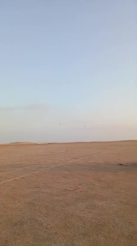 جير بيور - 12