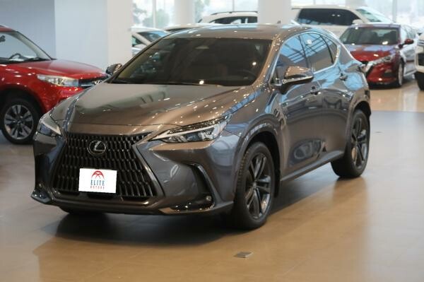 LUXUS -NX350 / 2.4 L TURBO - 1
