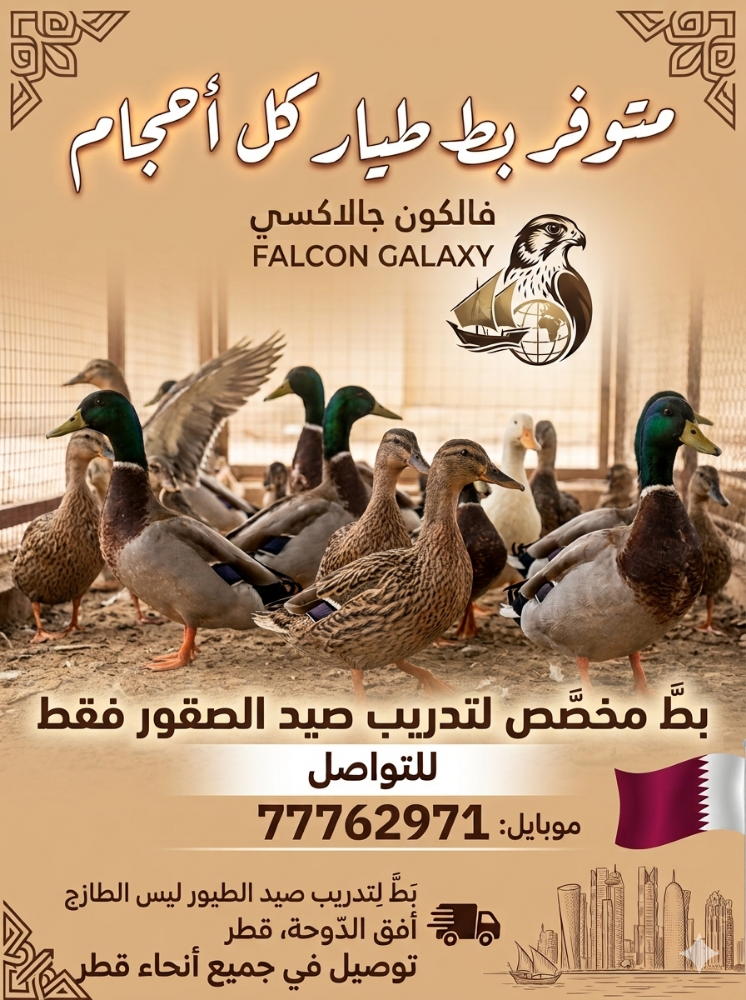 .بط طيار اصلي - 7
