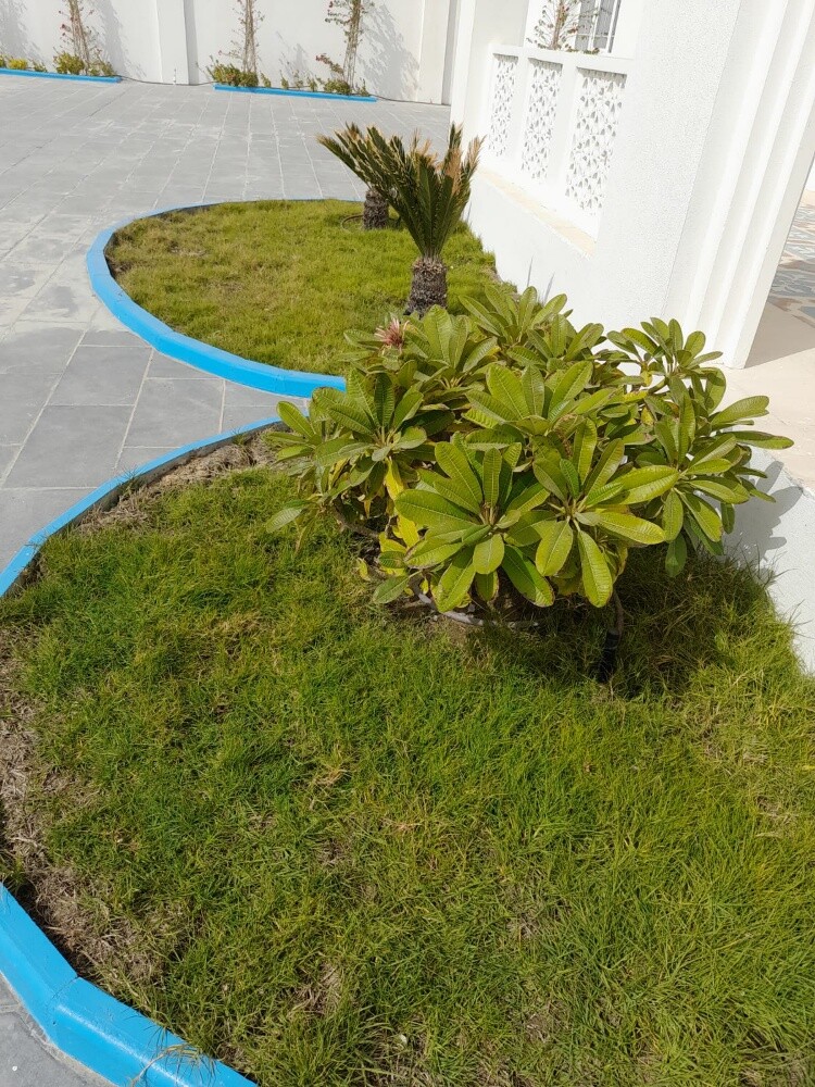 نقوم بعمل النوافير - 2