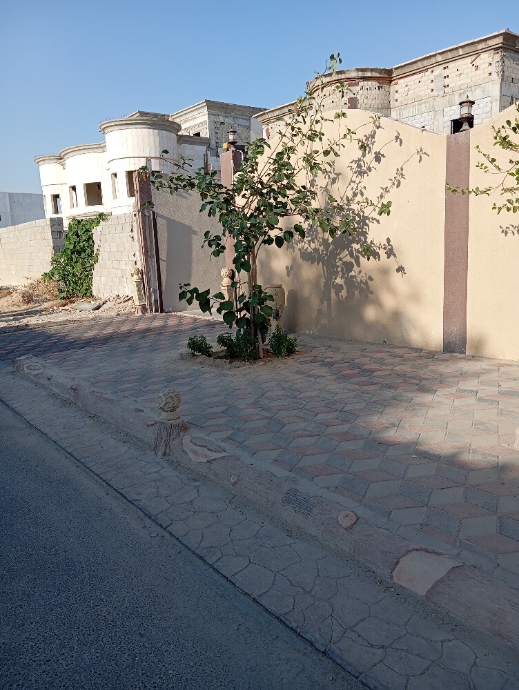 جميع انواع الاشجار المثمره - 7