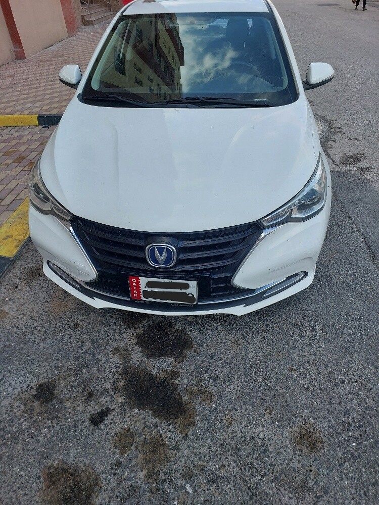 شانجان ٢٠٢٠ - 2