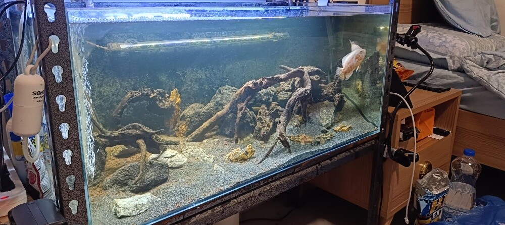 For Sale – 2 Complete Aquariums - 15