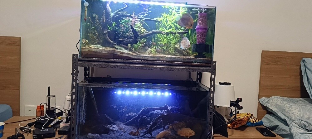 For Sale – 2 Complete Aquariums - 10