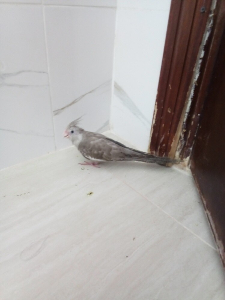 okokok - 2