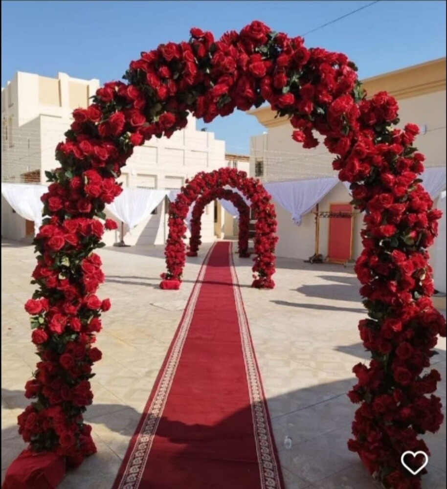 السراج قوس ورد - 11