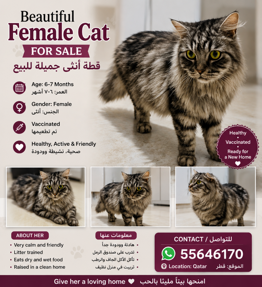 my lovely cutie for sell - 1