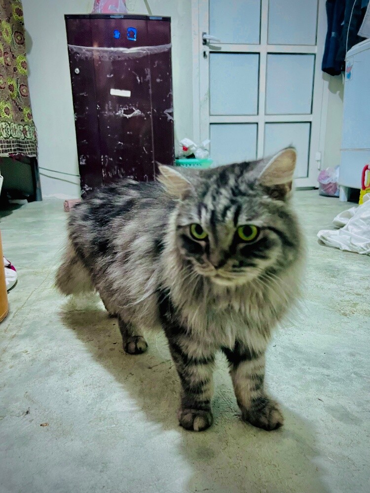 my lovely cutie for sell - 7