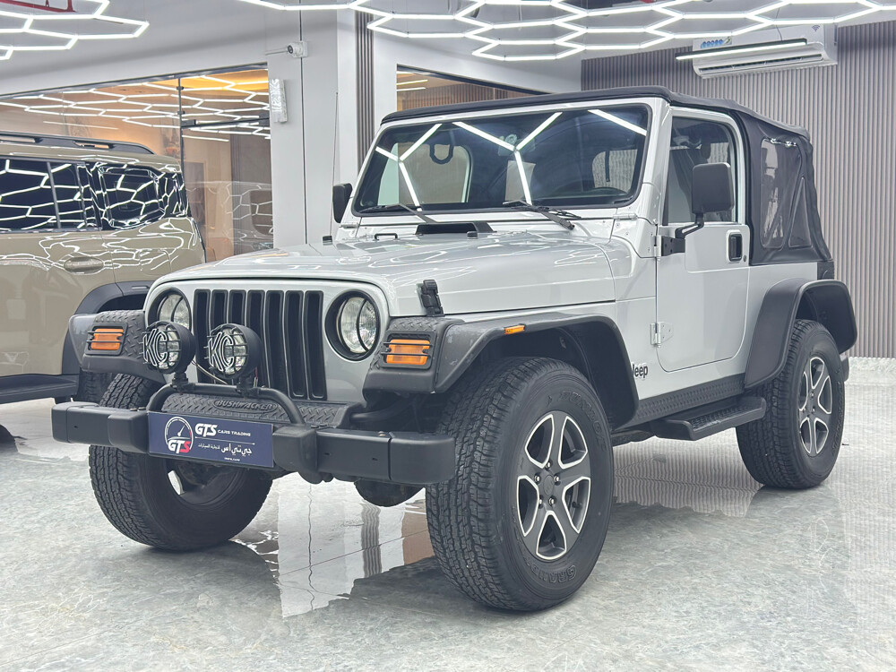 جيب ٢٠٠٦ - 4