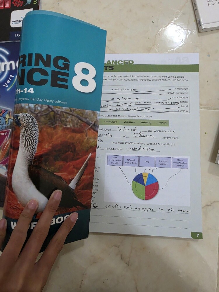 year 8 textbooks, workbook bundle - 3