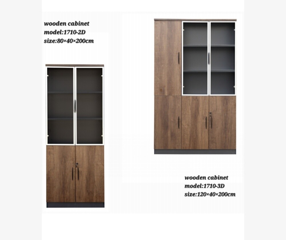 Office Cabinet (brand new) - 24