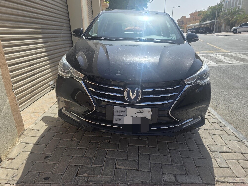 Changan Alsvin - 3