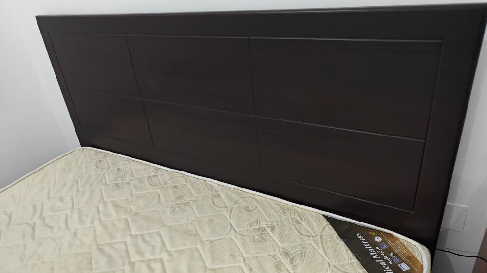 bed + mattress and sofa cum bed - 1