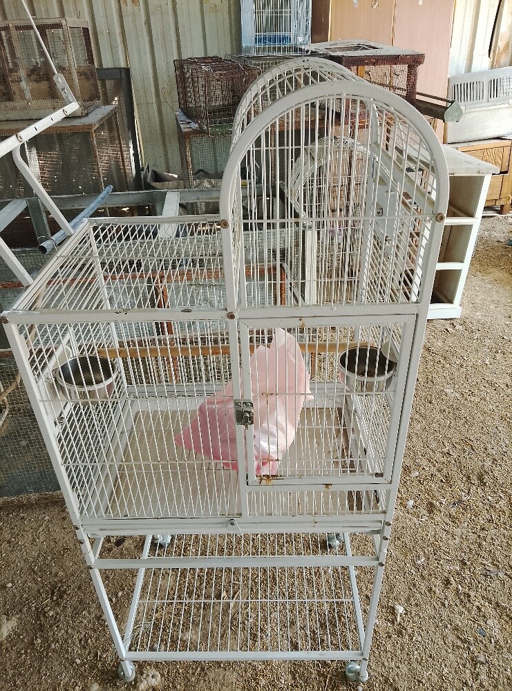 للبيع قفص للطيور 55963257 - 1
