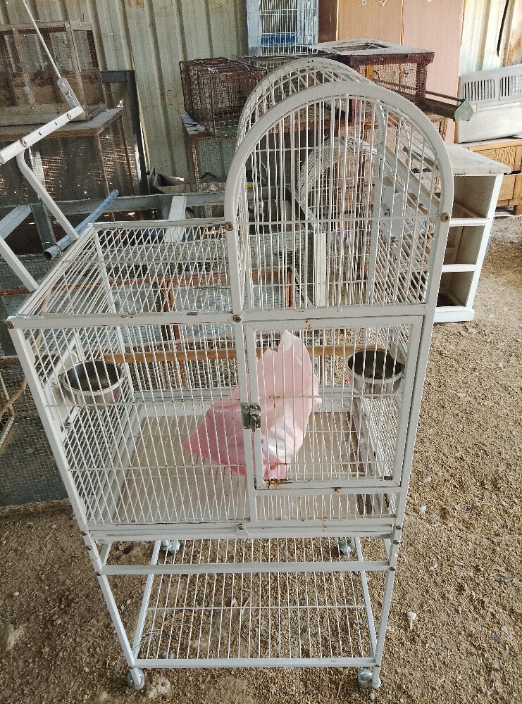 للبيع قفص للطيور 55963257 - 2