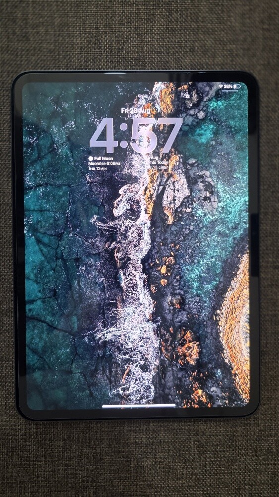 Ipad Pro 11 inches M4 Wifi 256GB - 4