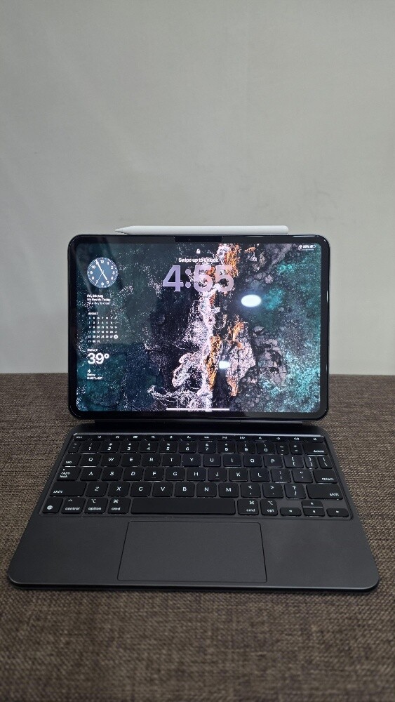 Ipad Pro 11 inches M4 Wifi 256GB - 1