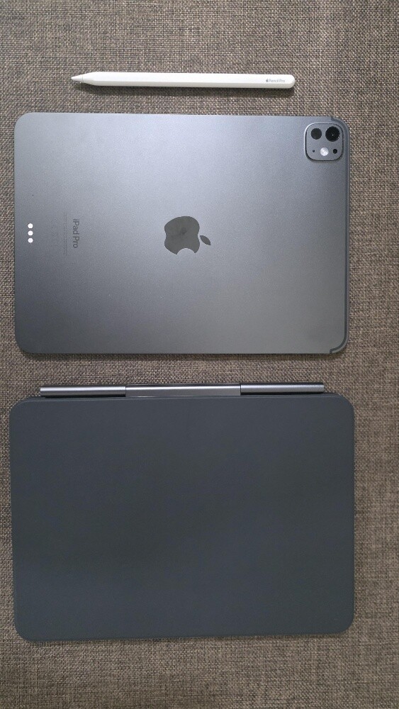 Ipad Pro 11 inches M4 Wifi 256GB - 7