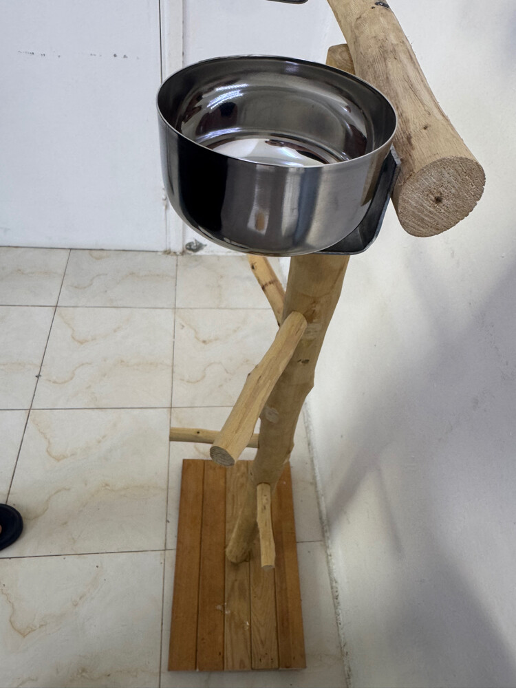 bird training stand - 1