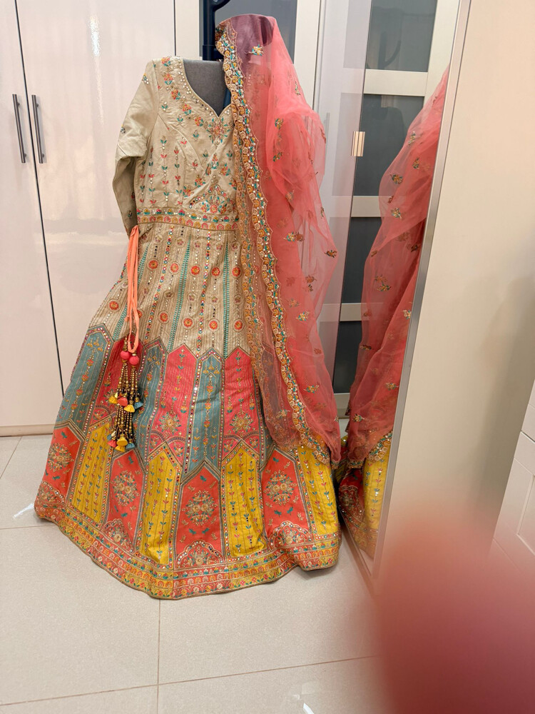 Indian party dress - 2