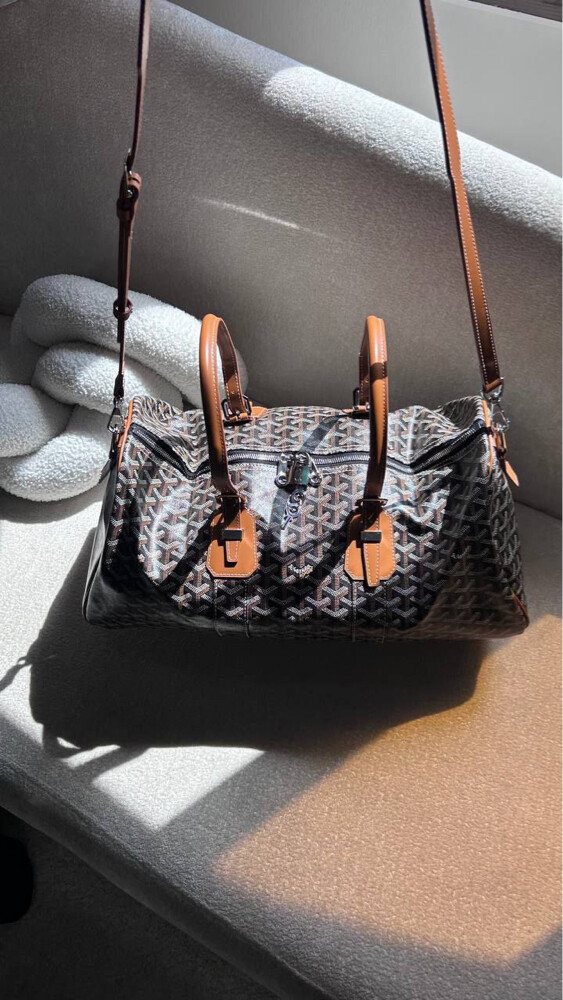 Goyard Croisiere 45 Bag Brown - 3