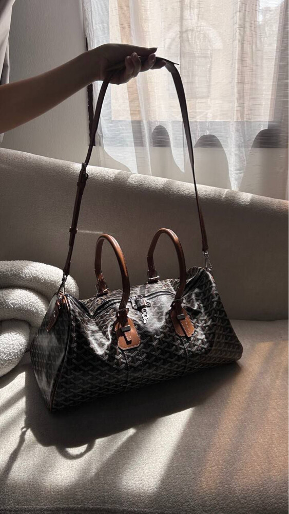 Goyard Croisiere 45 Bag Brown - 5