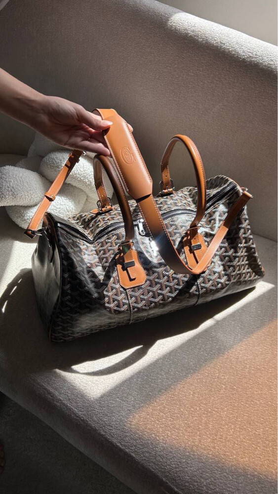 Goyard Croisiere 45 Bag Brown - 2