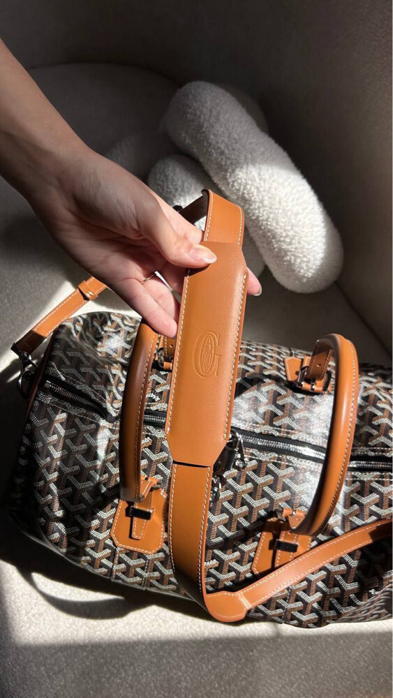 Goyard Croisiere 45 Bag Brown - 4