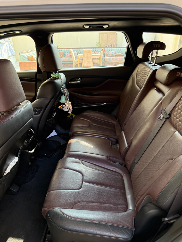 Hyundai Santa Fe 2019 - 5