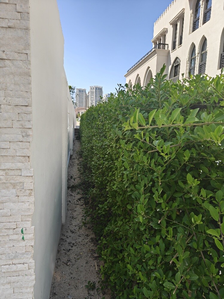 maintenance and gardening - 6
