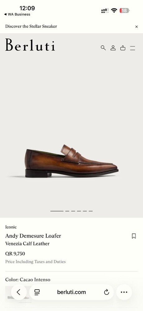 For sale: A luxurious classic shoe - 3