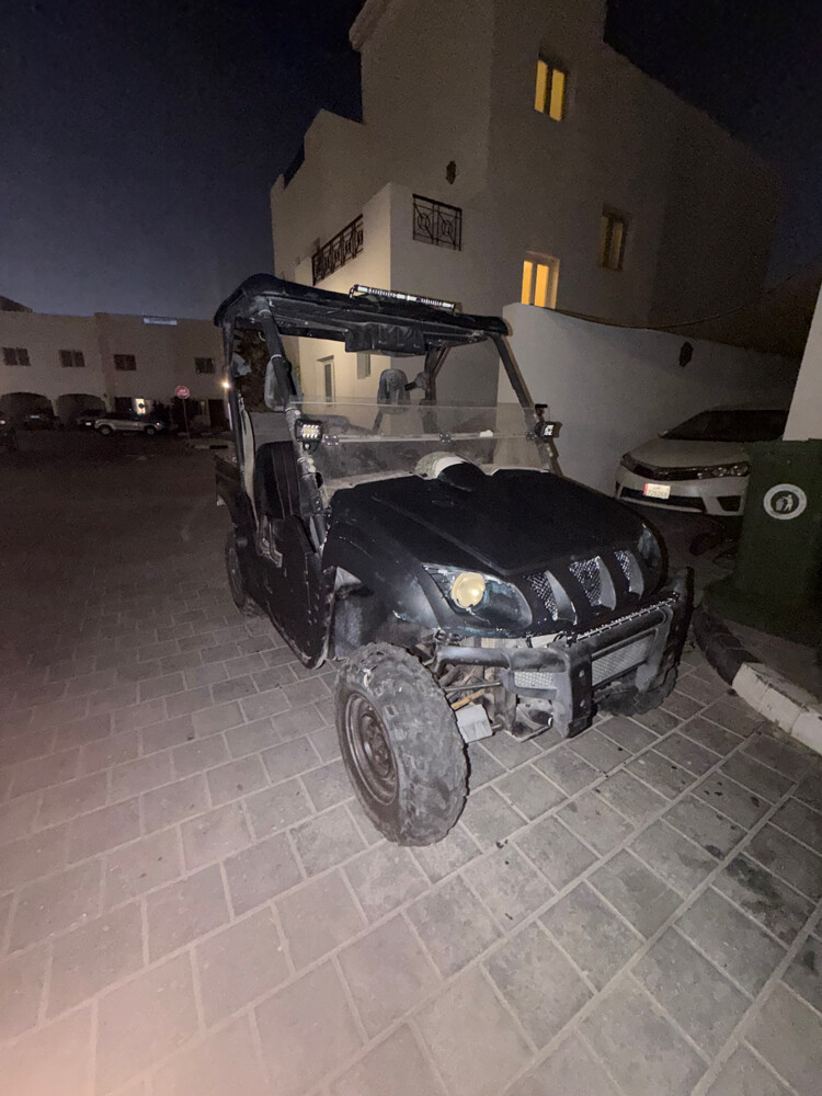 Yamaha rhino 700 or exgangeforbuggy - 3